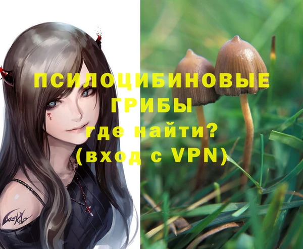 мет Верхний Тагил