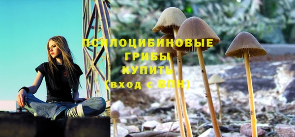 мет Верхний Тагил