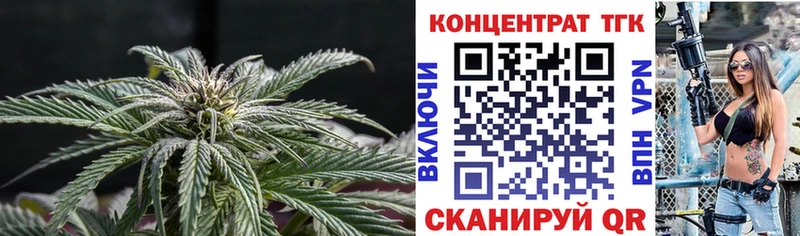 Купить где  Кинель  Дистиллят ТГК Wax 